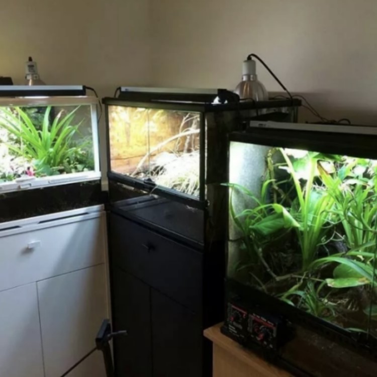 product-750-750 product-750-750