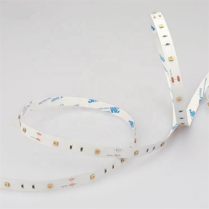 uv strip light for tortoise